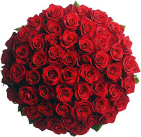 75 Premium Farm-Fresh Red Roses