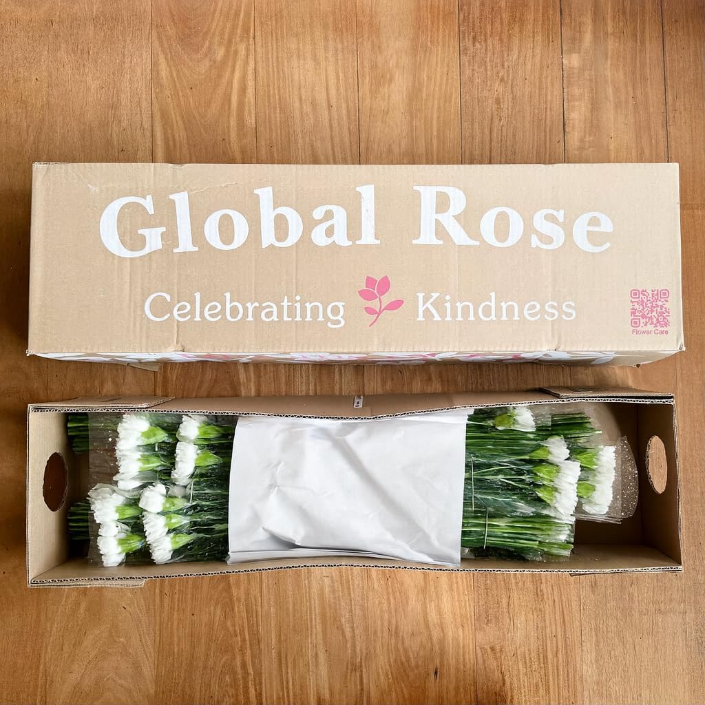100 Fresh Long-Stem White Carnations