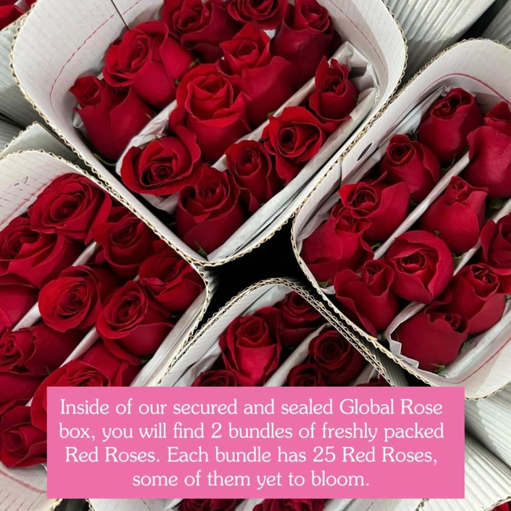 75 Premium Farm-Fresh Red Roses